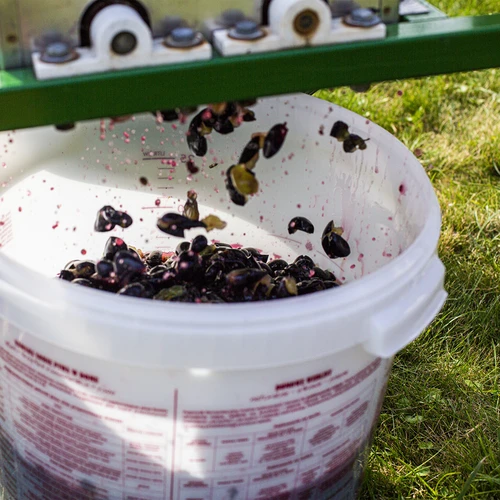 Fermenteringsbehållare 30 L med lock och kran - 16