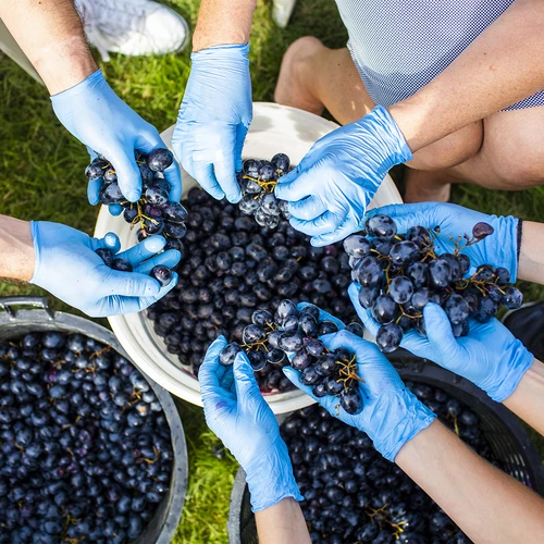 Fermenteringsbehållare med lock 30 L - 17