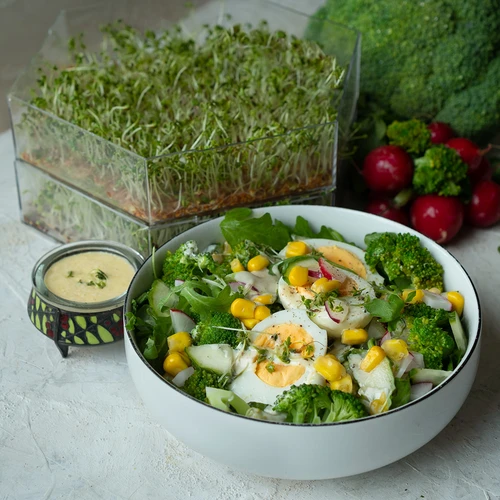 Flernivå groddmaskin Niezłe Ziółko + 10 fröpaket - 15