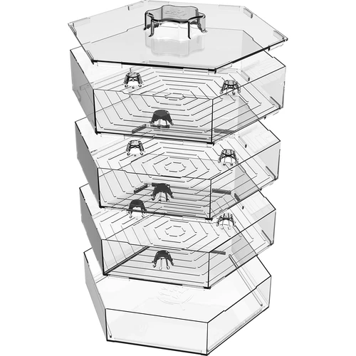 Flernivå groddmaskin Niezłe Ziółko med rädisfrön - 7