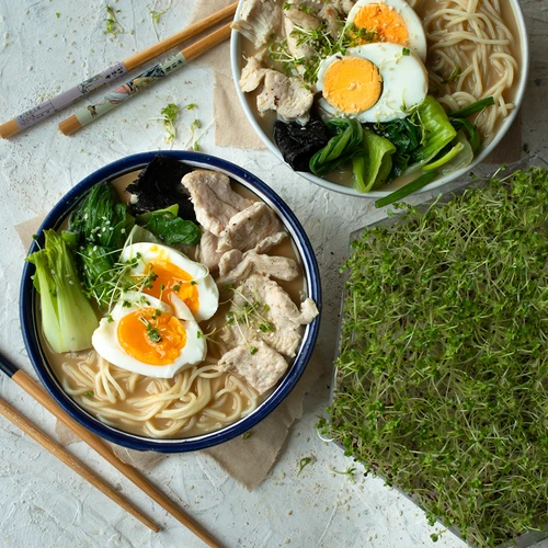 Flernivå groddmaskin Niezłe Ziółko med rädisfrön - 17