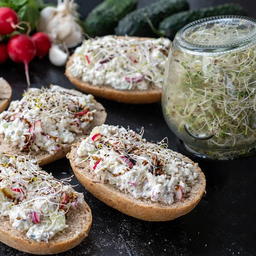 Fröset för groddar - 10 förpackningar - 4