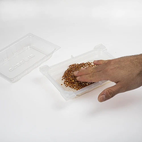 Groddtråg Grön Tofs med rädisfrön - 6