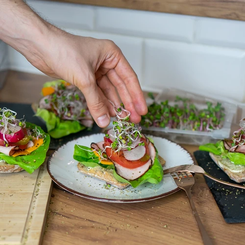 Groddtråg Grön Tofs med rädisfrön - 11