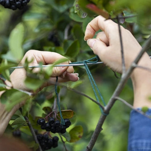 Grönt bomullssnöre 2 mm/55 m/100 g - 7