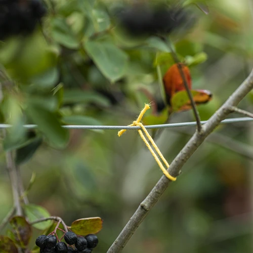 Gult bomullssnöre 2 mm/55 m/100 g - 7