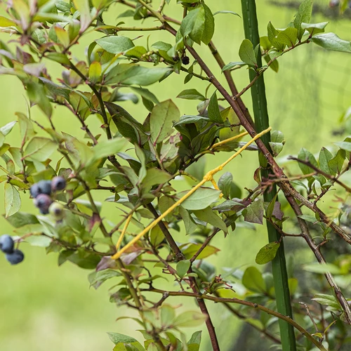 Gult bomullssnöre 2 mm/55 m/100 g - 8