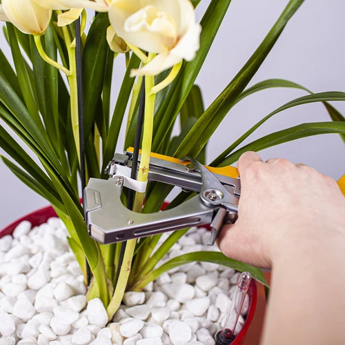 Häftklamrar för trädgårdshäftapparat - 10000 st. - 5