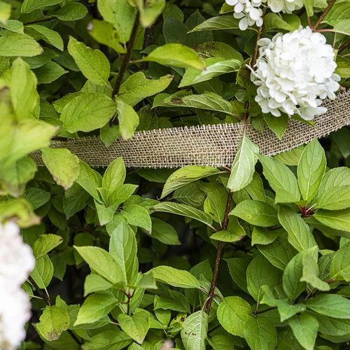 Juteband 5 cm / 8 m - 5