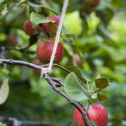 Jutesnöre 2 mm/235 m/500 g - 8