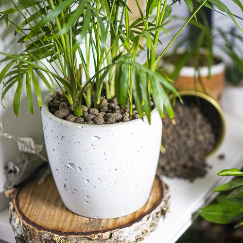 Keramzit för krukväxter, trädgårdsskötsel och skogar i glas 10–20 mm, 4L - 11