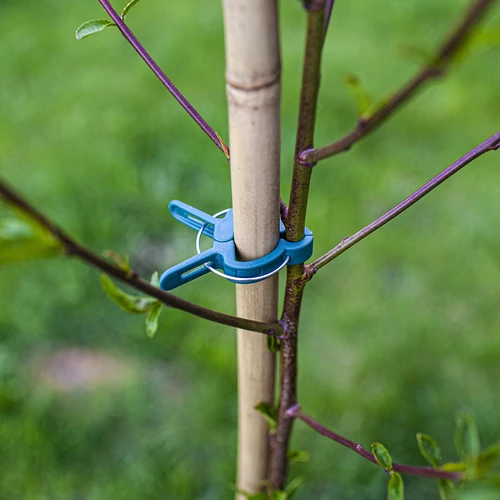 Klips för att binda växter 20 st. (8x stora/12x små) - 8