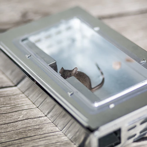 Metallisk musfälla - levandefångstfälla - 8