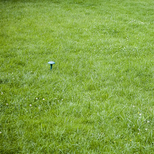 Mullvadsavvisare med solcellsdrift - 10