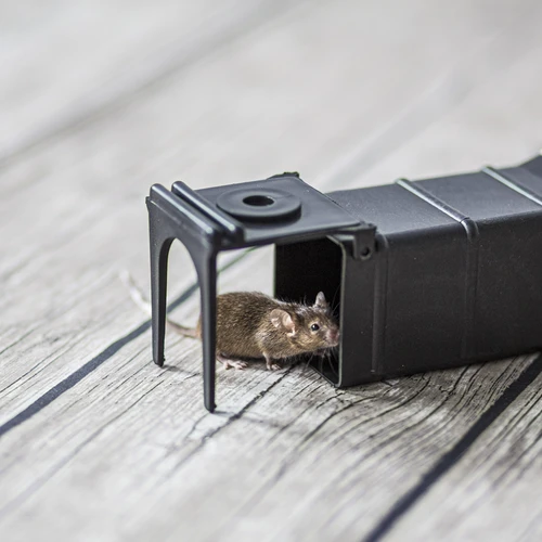 Musfälla - levandefälla - 8