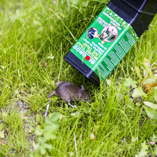 Musfälla - levandefälla - 10