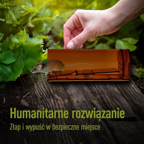 Musfälla – levandefångst, transparent, 2 st. - 7