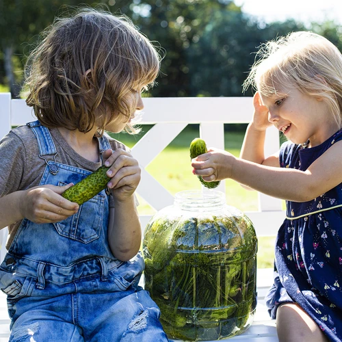 Okrossbar burk för inläggning, 3 L - 7