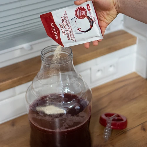 Omstart Jäst - 22 g - 4