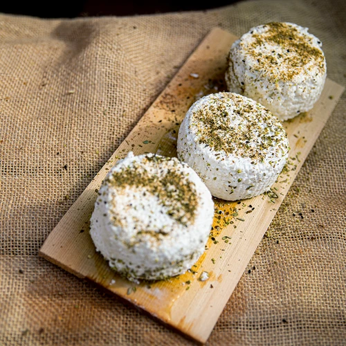 Osttillverkningssats - ung osttillverkare - 11