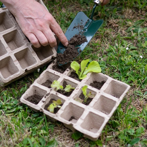 Papperskrukor 4,5x5x4,5 cm, 30 st. - 7