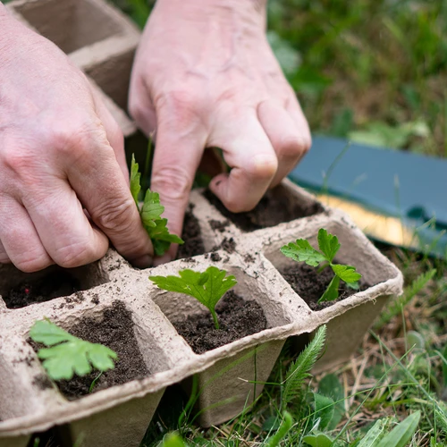 Papperskrukor 6 x 6 x 6, set om 5 st. - 6