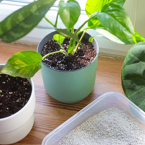 Perlit för krukväxter och trädgårdsskötsel, 2L - 8