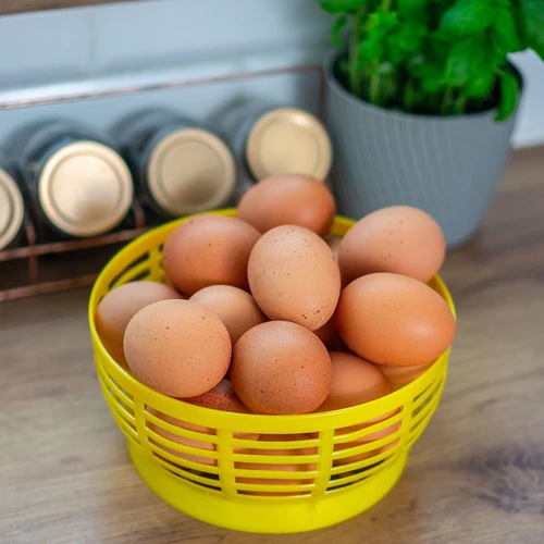 Plastkorg för Dam 5L, gul - 8