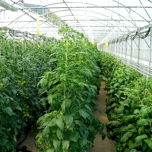 Polypropylensnöre 1 mm/65 m/50 g - 5