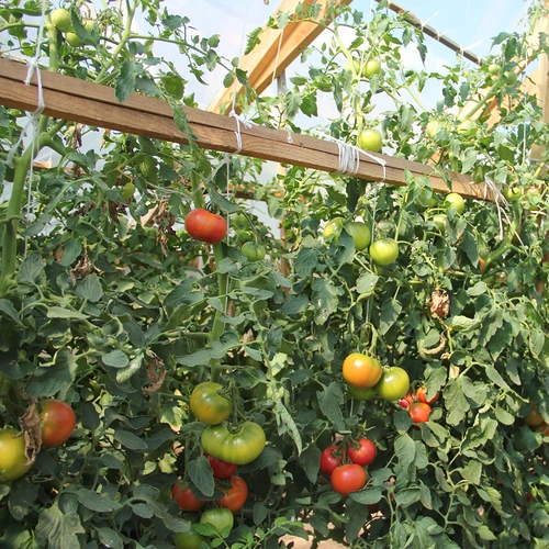 Polypropylensnöre 1 mm/65 m/50 g - 7