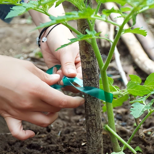 PVC-band för växtbindning, 1,2 cm x 40m - 4