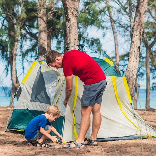 Raka tältpinnar - 10 st. - 8