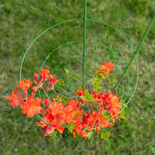 Ringstöd för växter 3 ringar 0,5m - 5