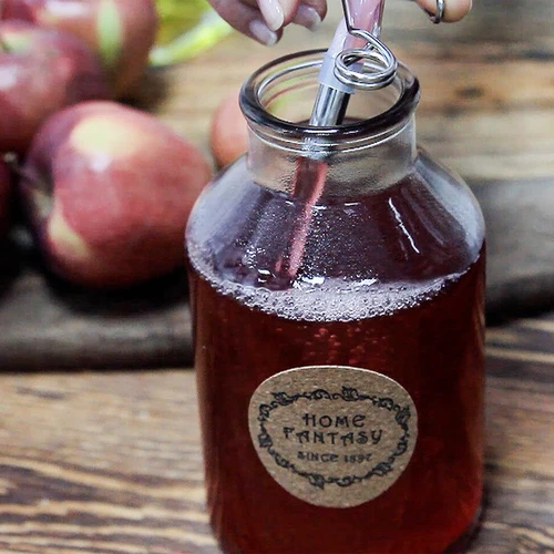 Rostfri saftkokare 8 L - 16