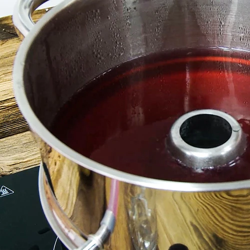 Rostfri saftkokare med ångkokare 5 L - 16