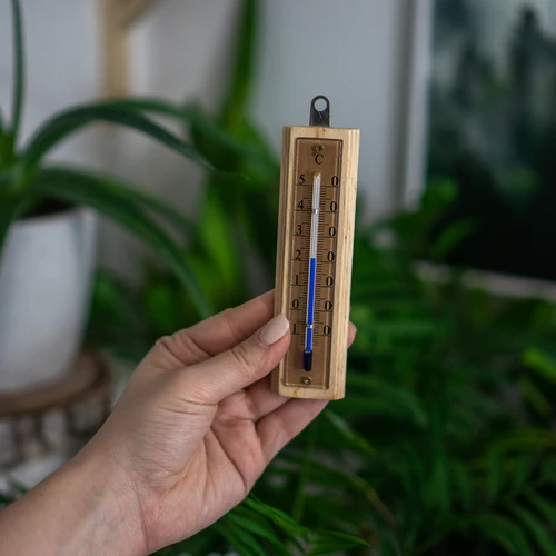 Rumstermometer med gyllene skala (-10°C till +50°C) 12cm - 5