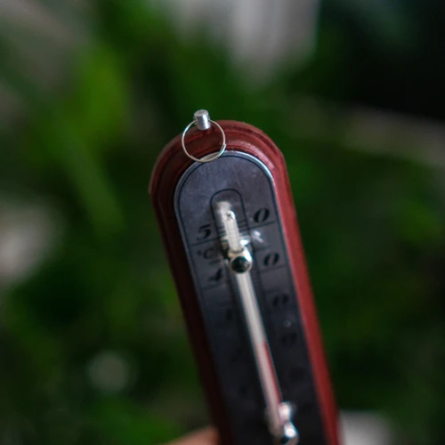 Rumstermometer med silverfärgad skala (-10°C till +50°C) 16cm mix - 5