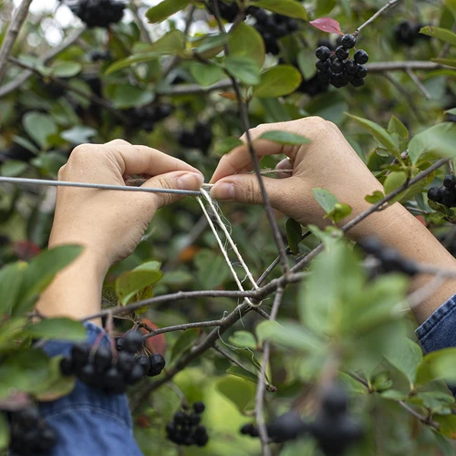 Sisaltråd 1,8 mm/115 m/250 g - 7