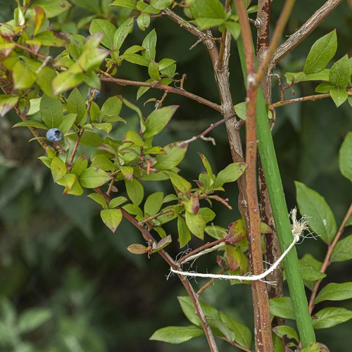 Sisaltråd 1,8 mm/115 m/250 g - 8