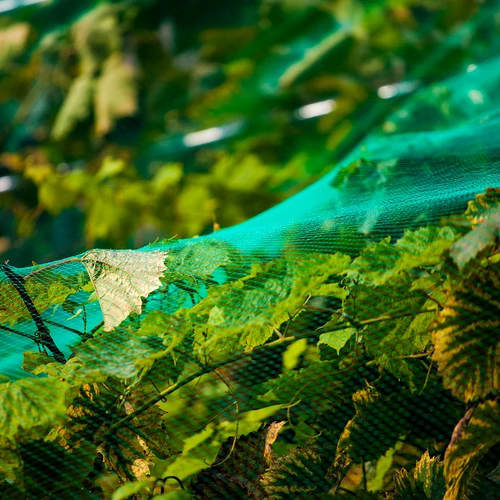 Skyddsnät mot fåglar, grön, 8 m x 14 m - 5