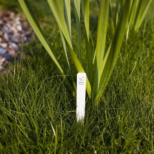 Skyltar för växtbeskrivning + blyertspenna mix 10+20 st. - 7