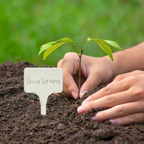 Skyltar för växtbeskrivning + blyertspenna mix 10+20 st. - 10