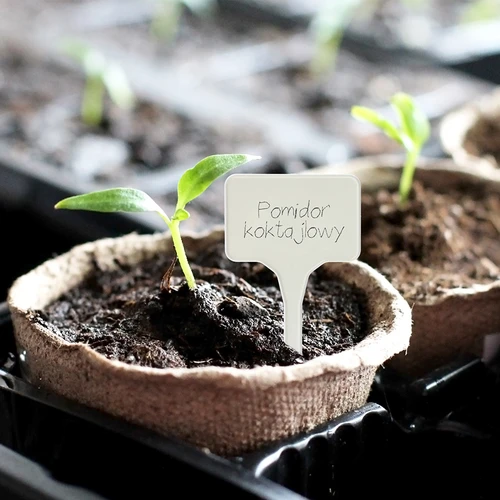 Skyltar för växtbeskrivning + blyertspenna mix 10+20 st. - 11