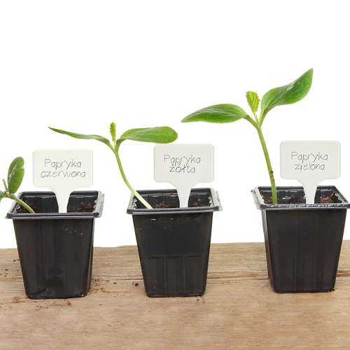 Skyltar för växtbeskrivning + blyertspenna mix 10+20 st. - 12