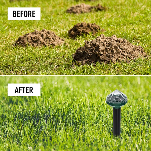Solavskräckare för mullvadar med LED-lampa - 12