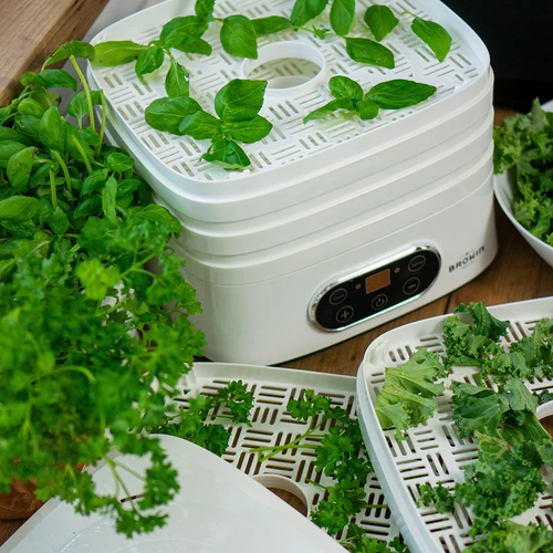 Svamptork, frukt, grönsaker och örter med temperaturreglering, 240W, vit - 23