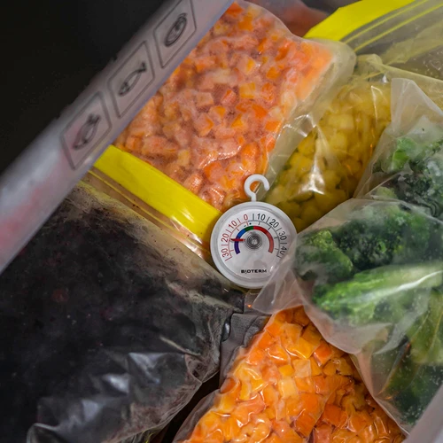 Termometer för kylskåp och frysar (-35°C till +45°C) Ø 5cm - 5