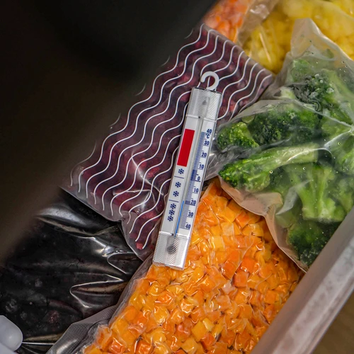 Termometer för kylskåp och frysar (-40°C till +40°C) 15cm - 6