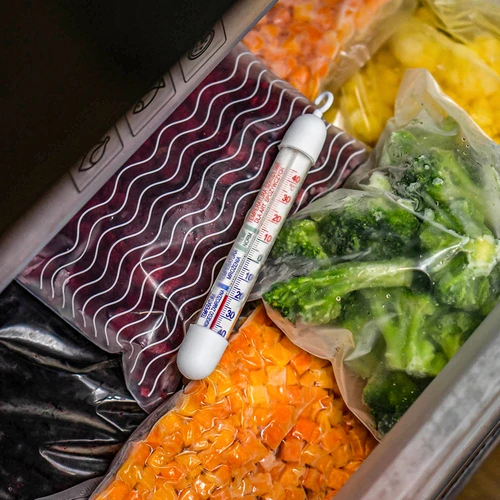 Termometer för kylskåp och frysar (-50°C till +40°C) 17cm - 6