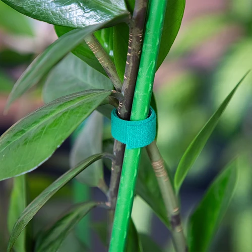 Trädgårdsband med kardborre, grön, 15 mm x 5 m - 4